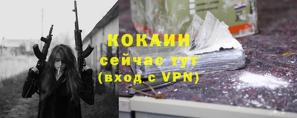 крисы Козельск