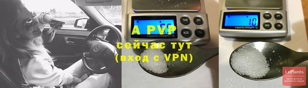 крисы Козельск