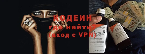 крисы Козельск
