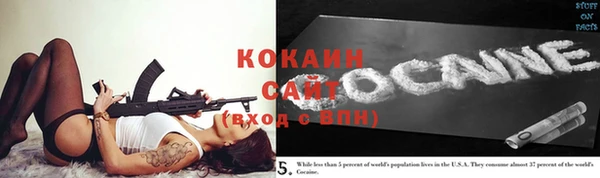 крисы Козельск