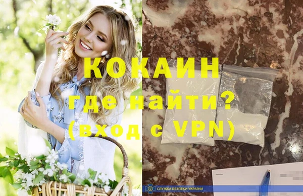 крисы Козельск