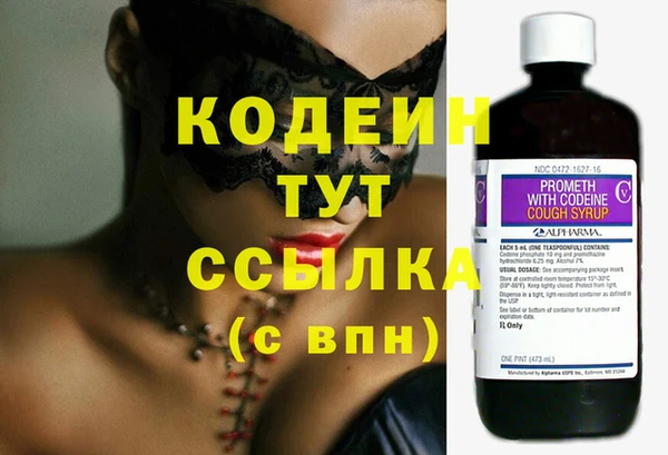 крисы Козельск