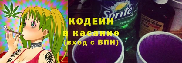 крисы Козельск