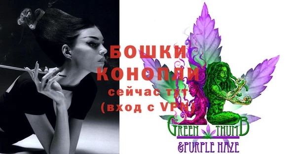 крисы Козельск